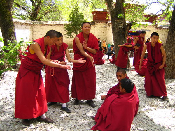 西藏圖片：色拉寺的辨經3