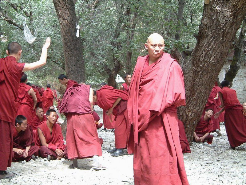 西藏圖片：晃晃當當西藏80天—拉薩