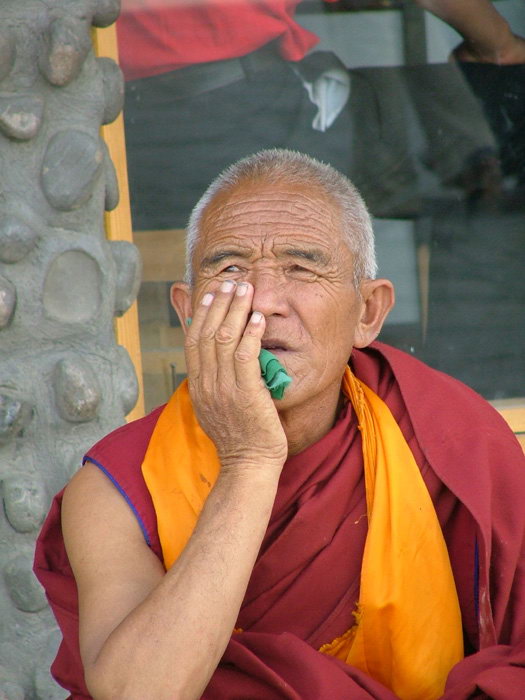 西藏圖片：沉思