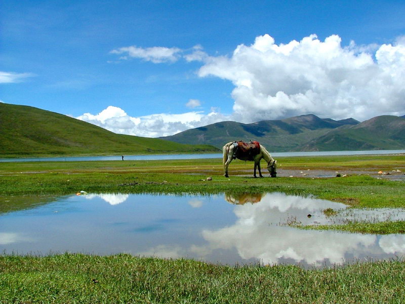 西藏圖片：羊卓雍錯