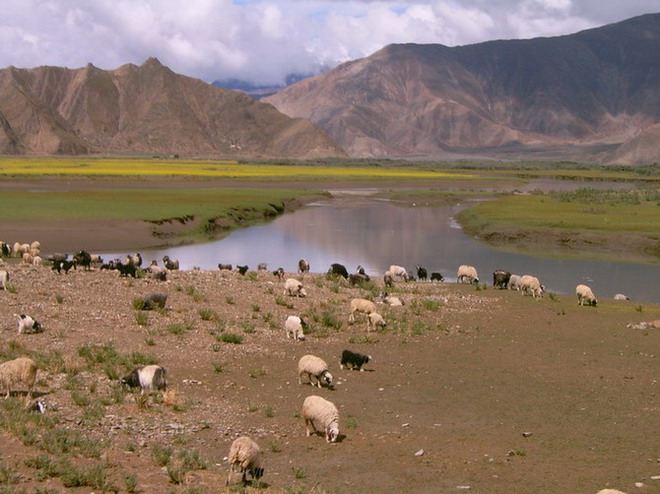西藏旅行照片：阿里-那布裡斯湖
