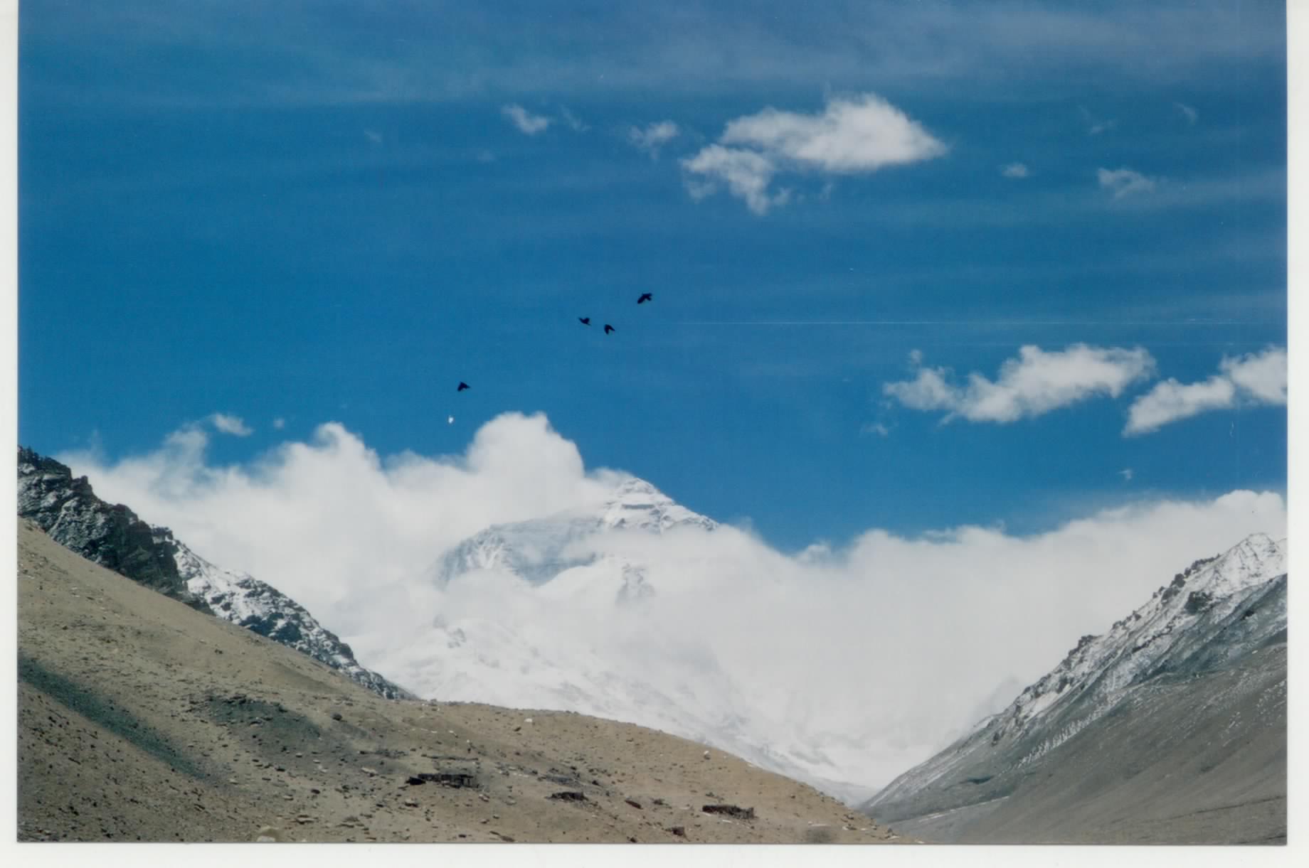 西藏旅行照片：阿里-鳥兒的珠穆朗瑪