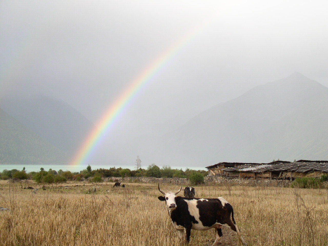西藏林芝圖片：巴松措彩虹