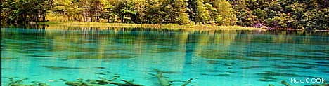 china jiuzhaigou travel web