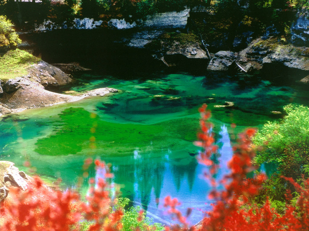 請點擊放大圖片