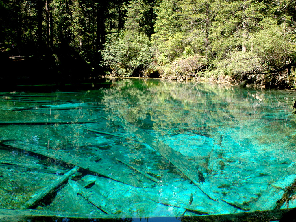 請點擊放大圖片