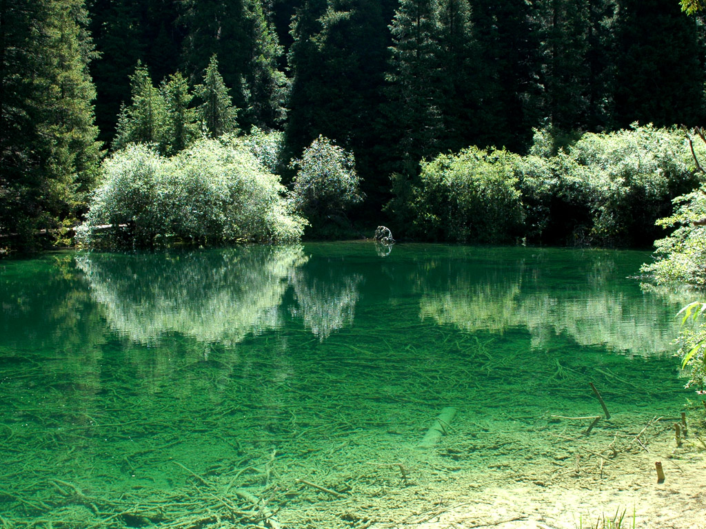 請點擊放大圖片