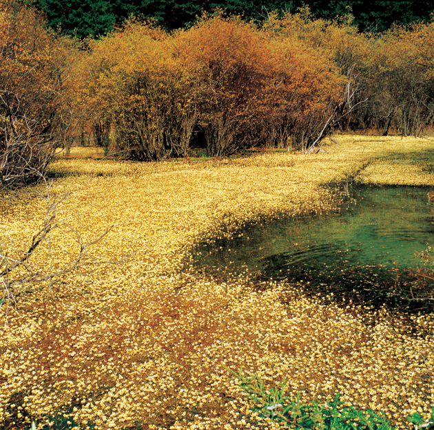 請點擊放大圖片