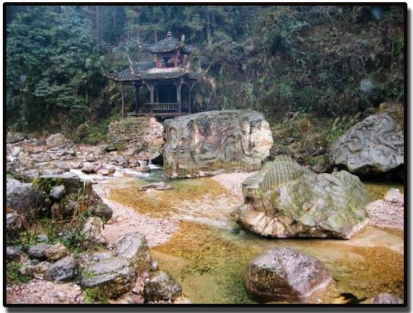 照片:九寨8