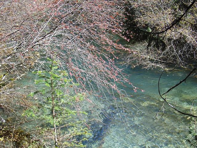 照片:天鹅湖