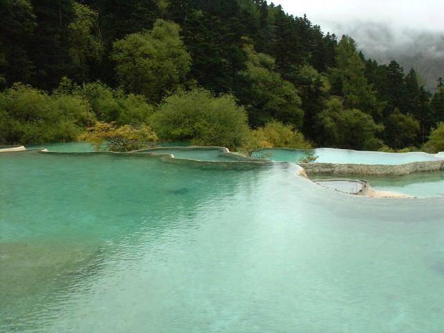 照片:绿树。碧水