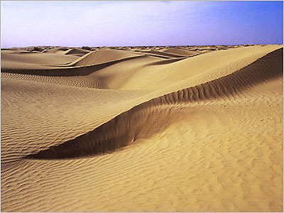 科技時代_探險聖地評選：塔克拉瑪干沙漠—叩問生命的地方