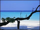 馬爾代夫風光圖片