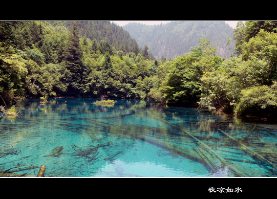 九寨溝風景圖片.Jiuzhaigou Photos