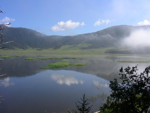 雲南香格里拉普達措國家森林公園