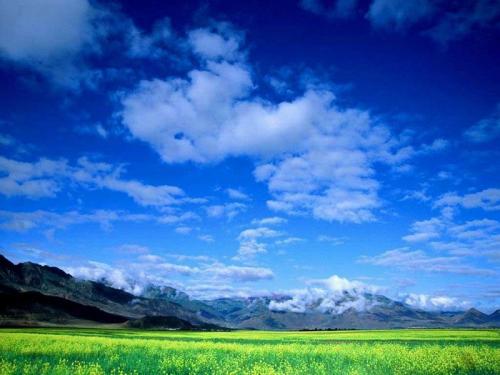 西藏林芝風景圖片