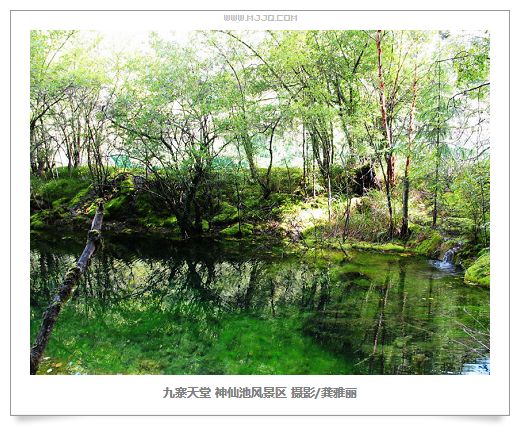 四川九寨溝神仙池風景區圖片