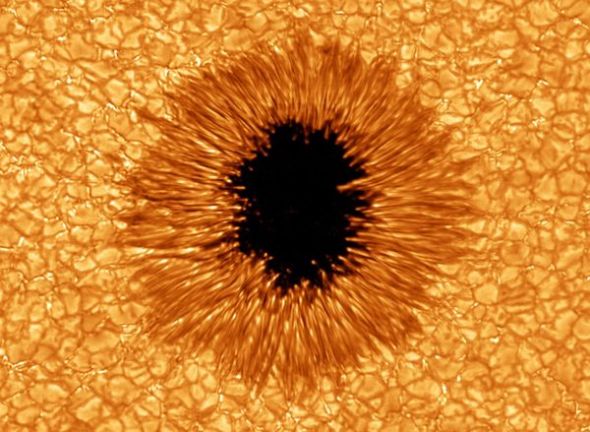 太陽黑子圖片